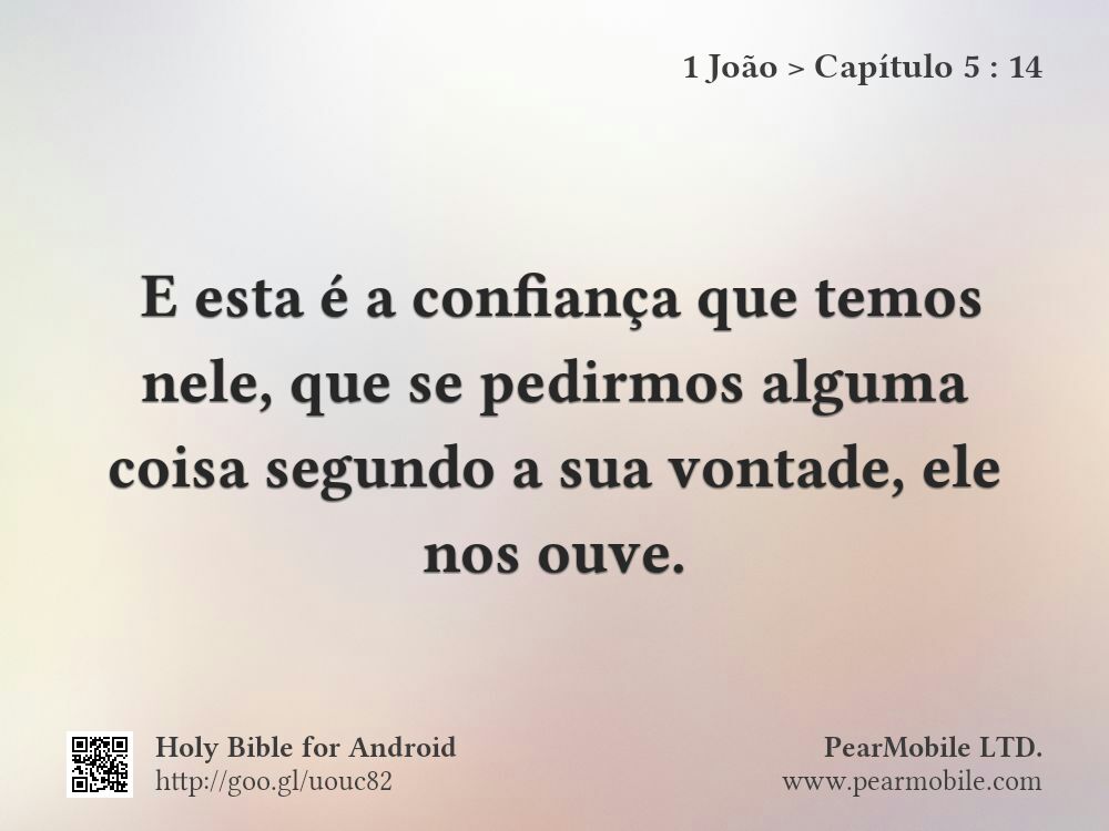 1 João, Capítulo 5:14